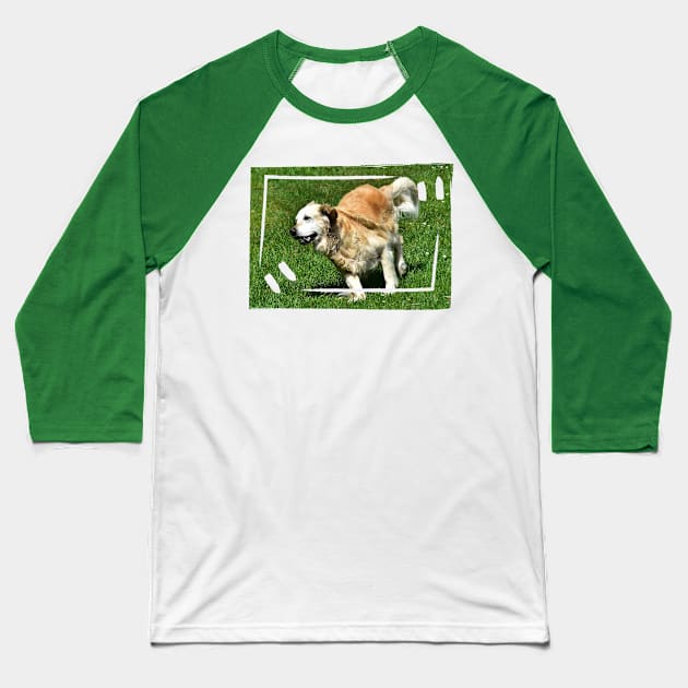 Golden Retriever Baseball T-Shirt by DeVerviers